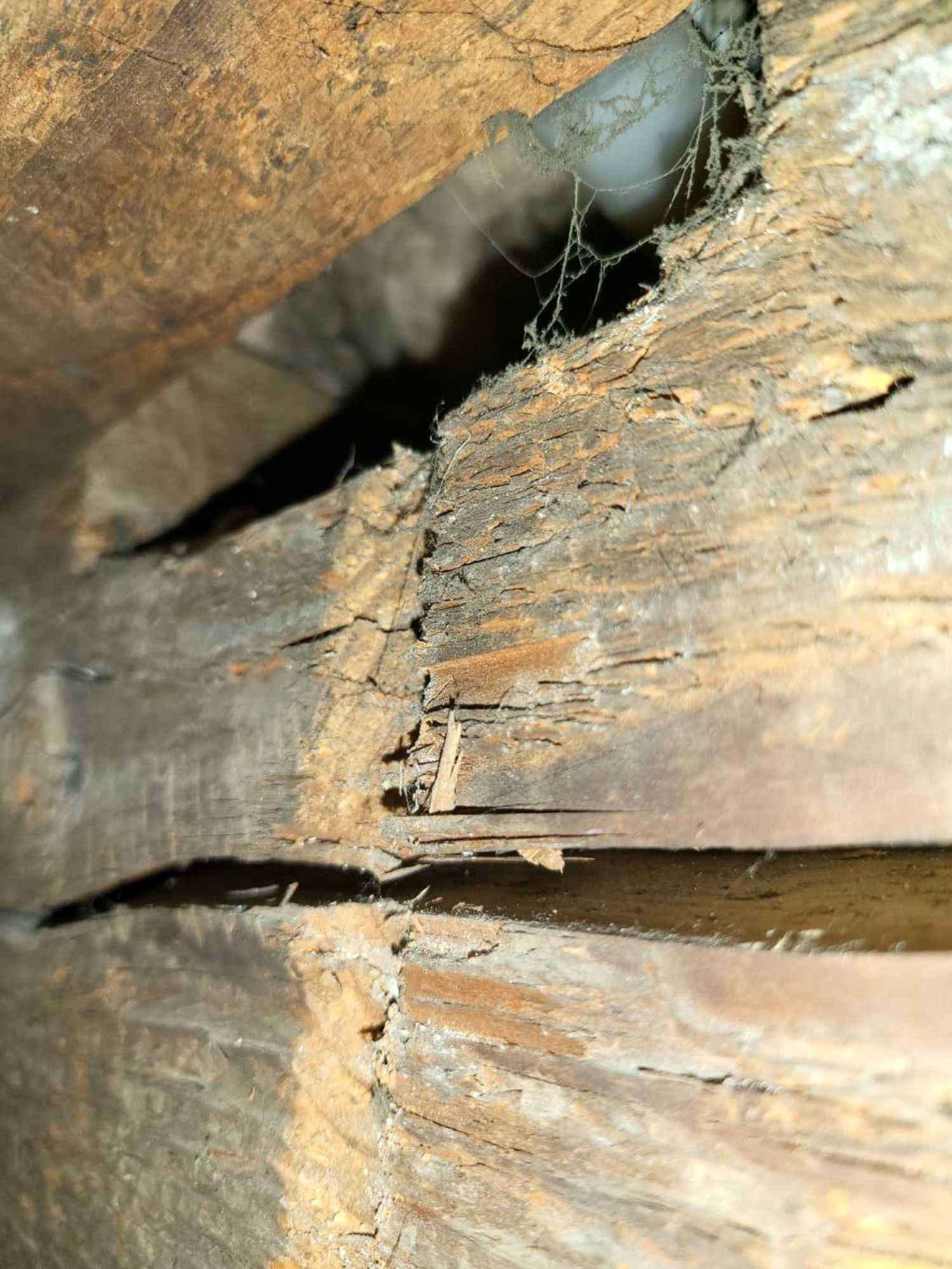 A close up of a piece of wood with a hole in it.