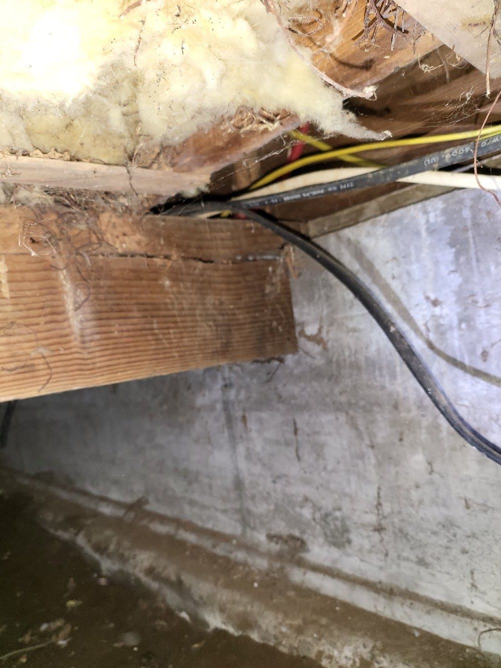 There are a lot of wires coming out of the ceiling of a house.