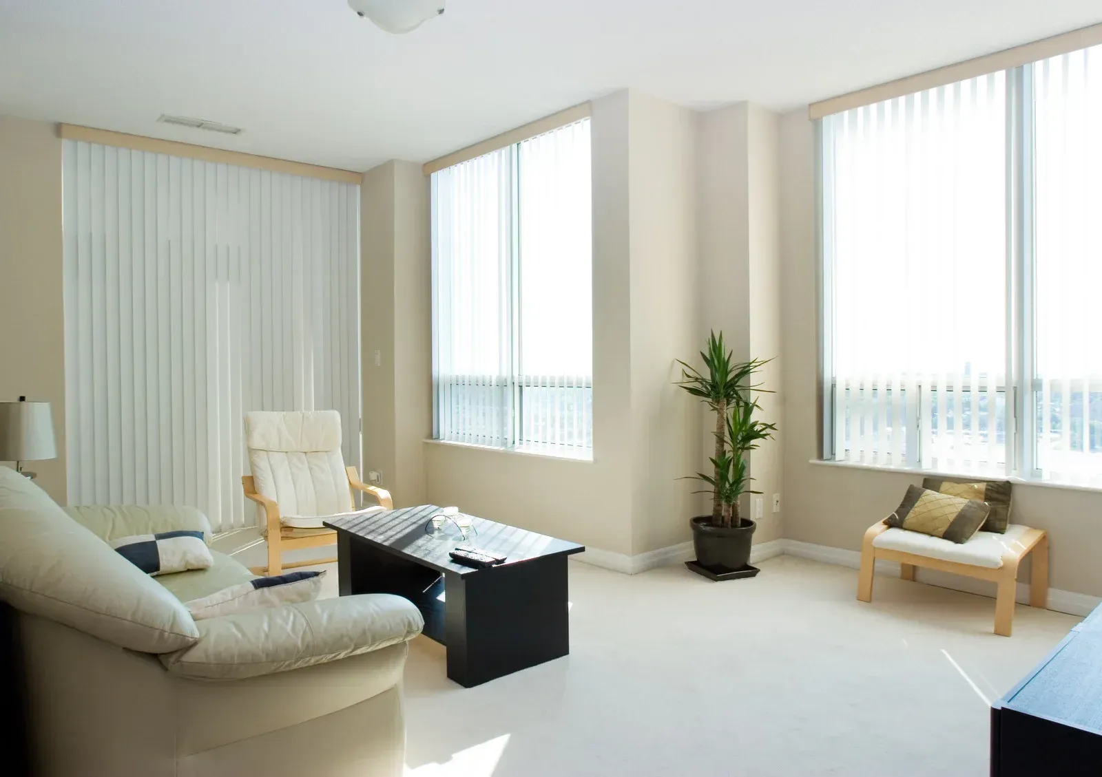 A living room with a couch , chair , coffee table and a plant.