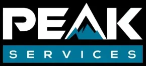 A blurry picture of the word logo on a white background.