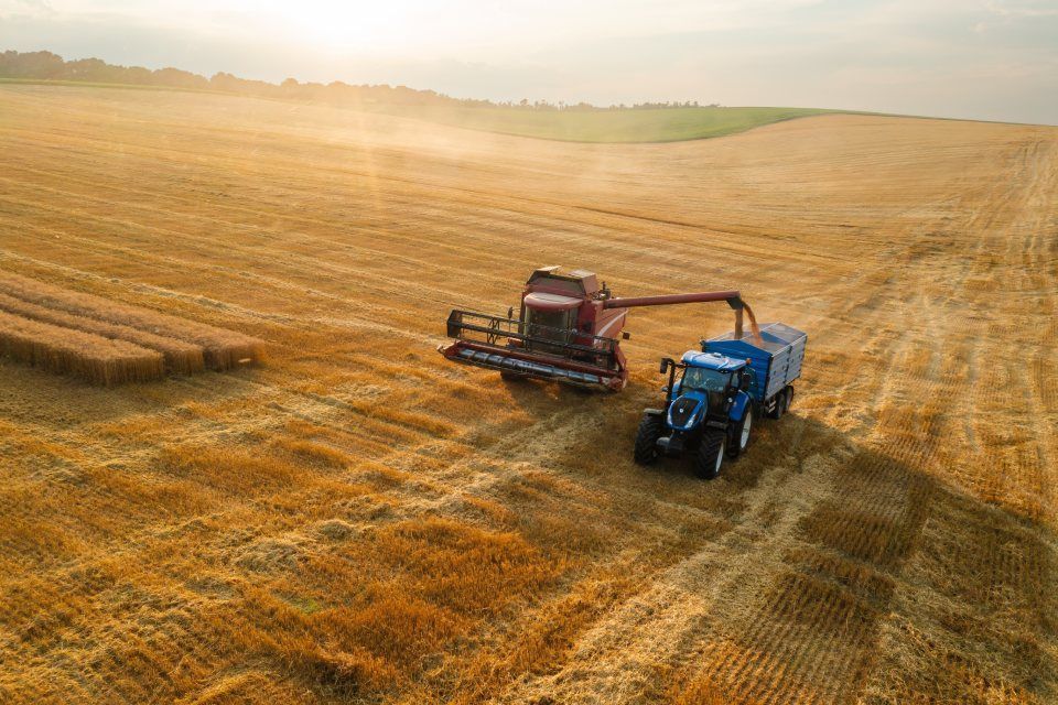 A combine harvester unloading grain into a blue tractor-trailer in a golden wheat field.