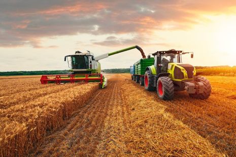 Combine harvester and tractor harvesting wheat in a field at sunset.