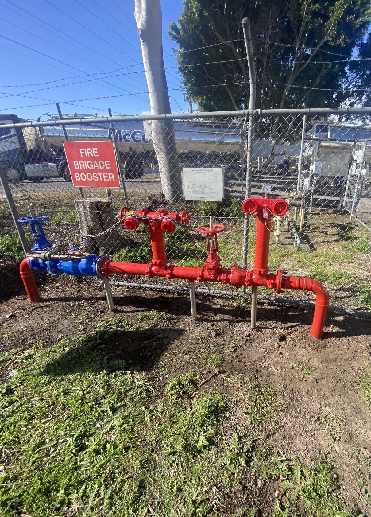 Red Fire Hydrant System in Overgrown Greenery — Huddo's Plumbing Service in Wallalong, NSW