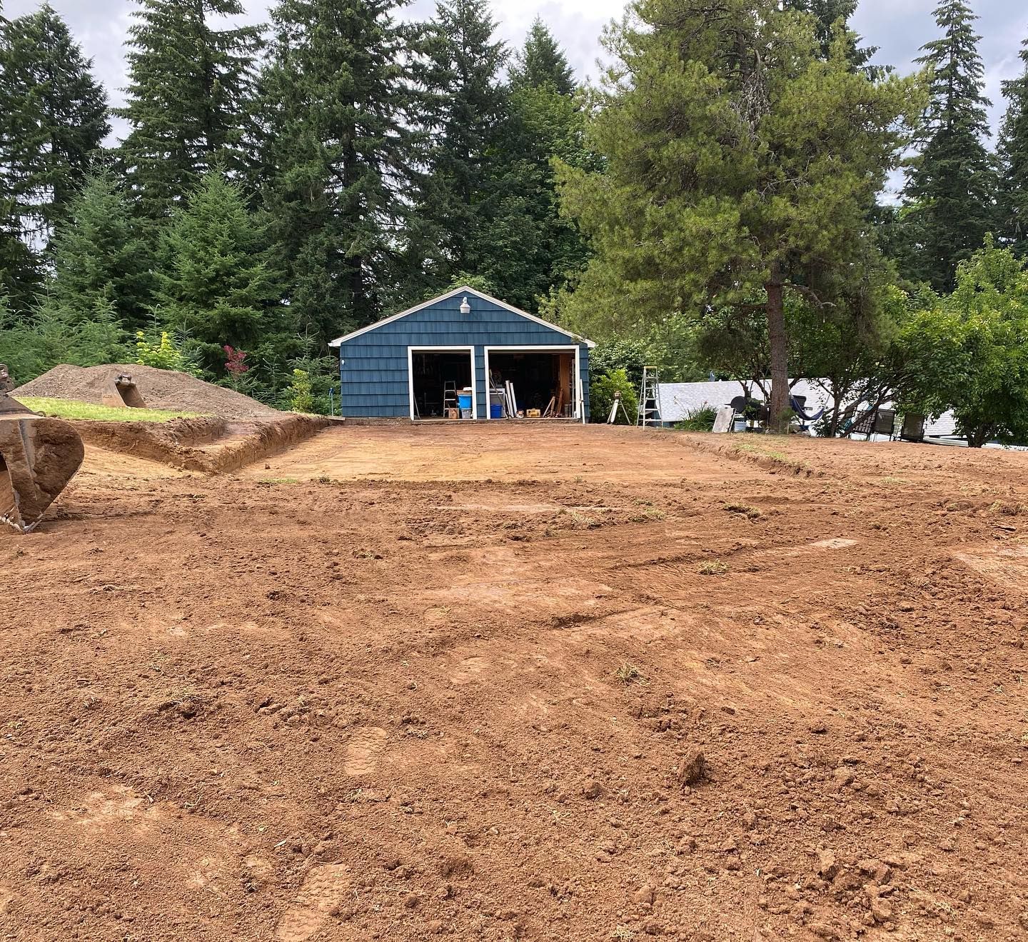 Dirt lot with a blue shed, large tree, and evergreen trees in the background