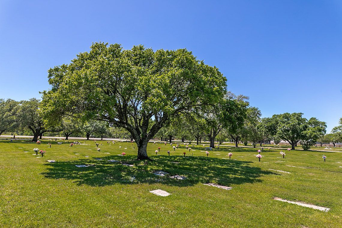 A lake surrounded by trees and grass in a park