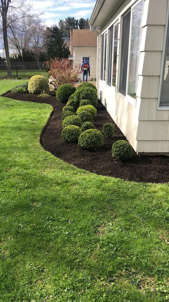A house with a lush green lawn and bushes in front of it.