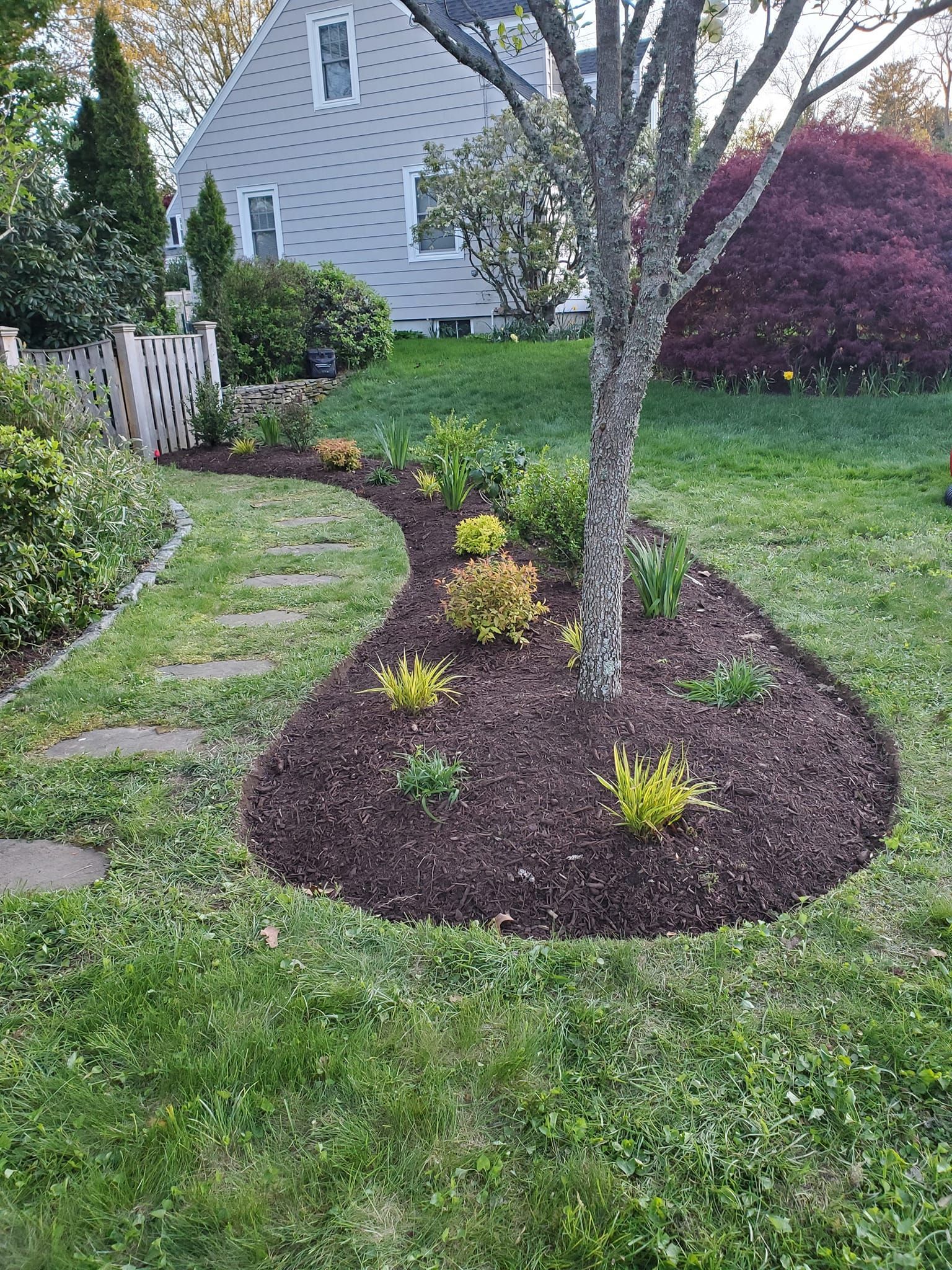 A lush green lawn with a tree in the middle and a house in the background.