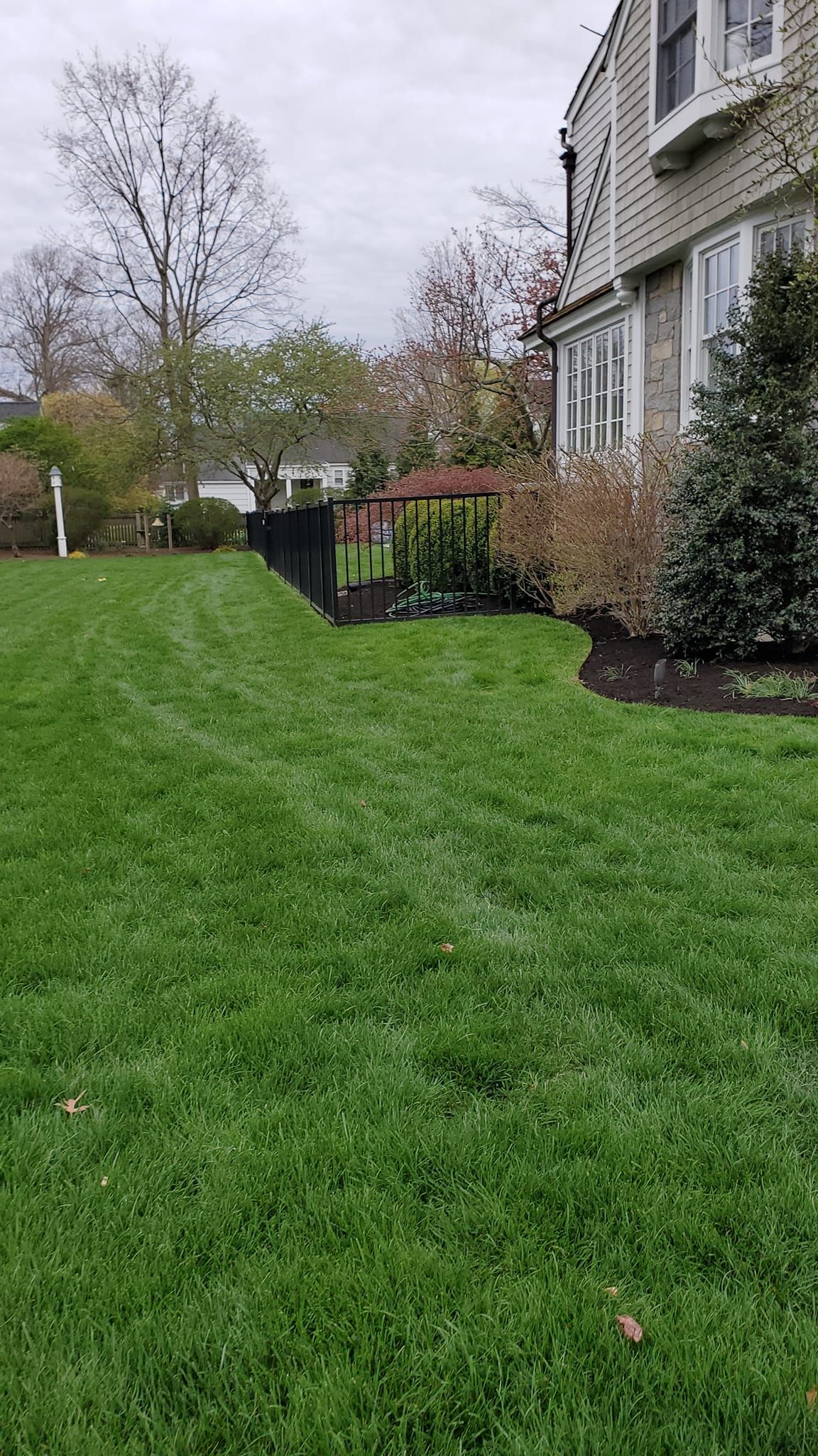 A lush green lawn in front of a house on a cloudy day.