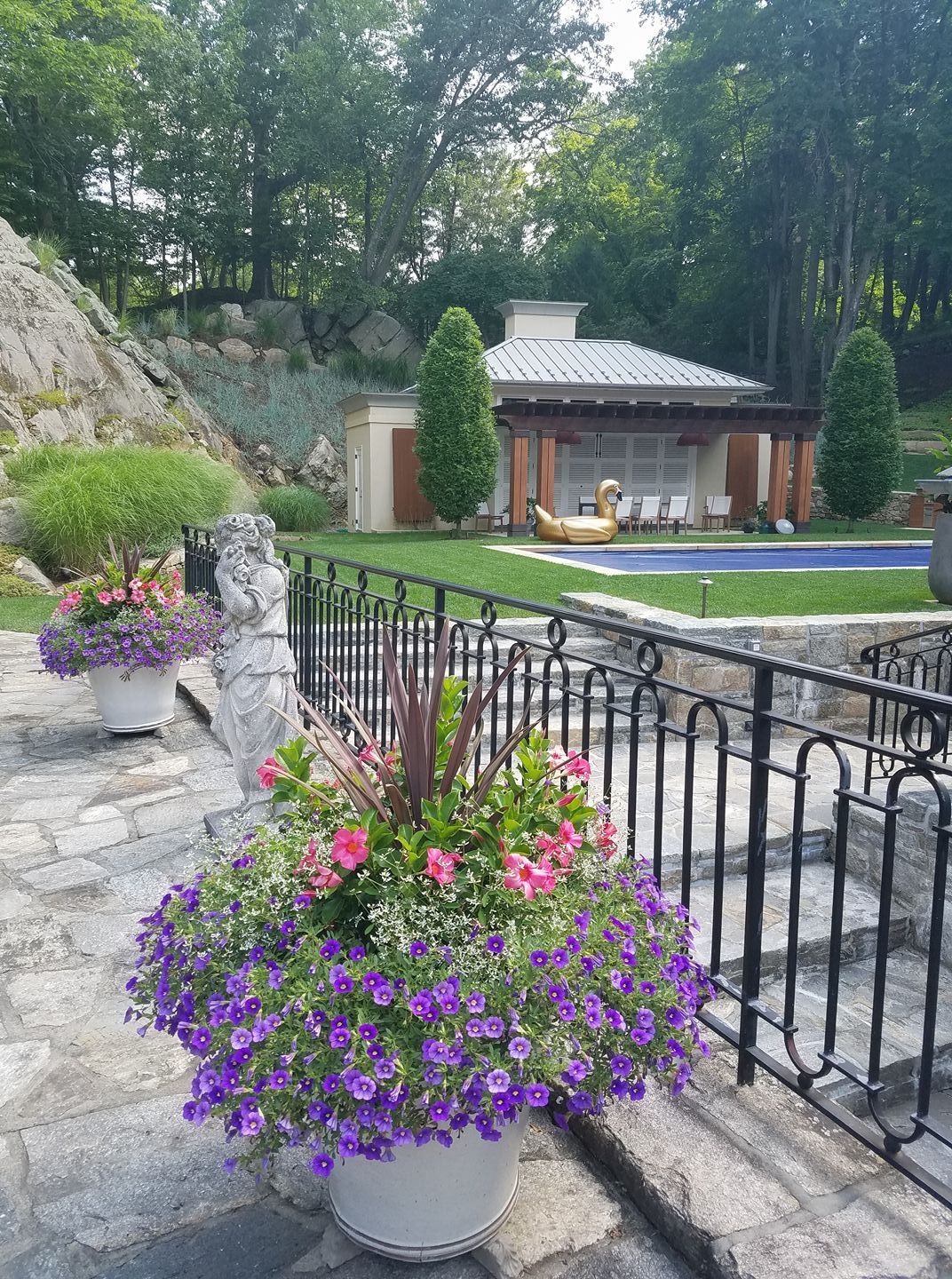 A potted plant with purple flowers is sitting next to a pool.