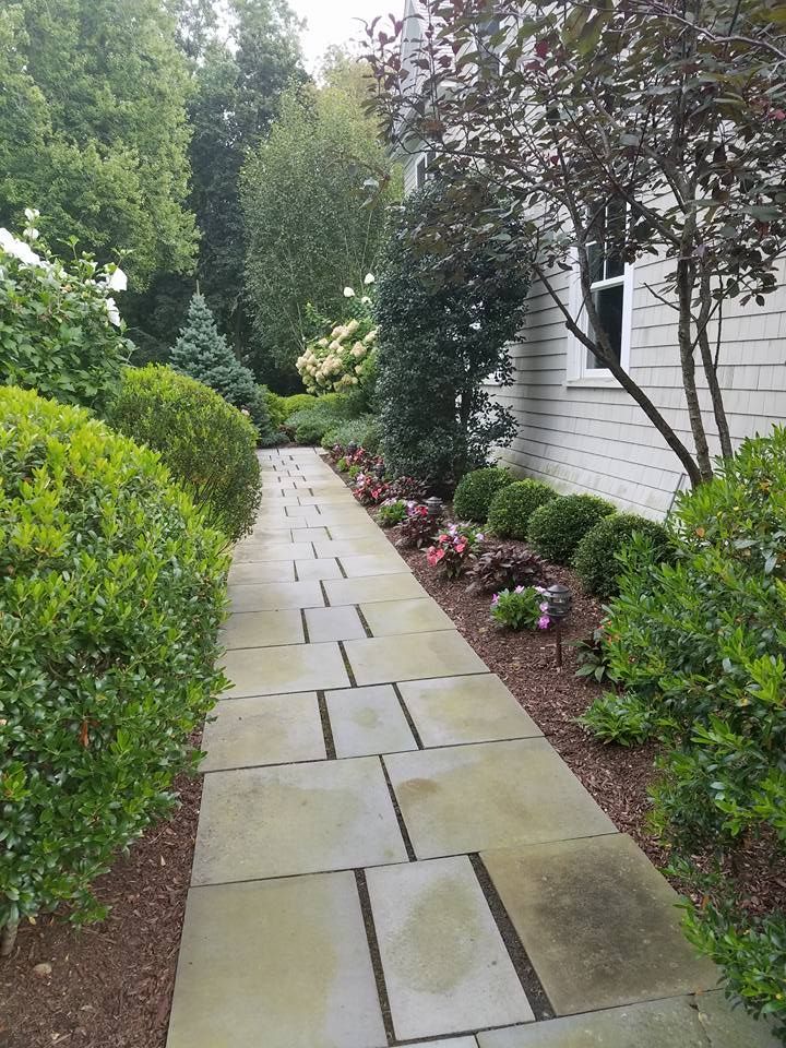 A stone walkway leading to a house surrounded by trees and bushes.