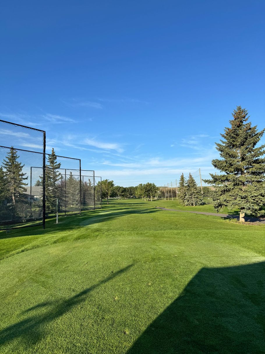 A row of green golf carts parked on grass, with people in the background.