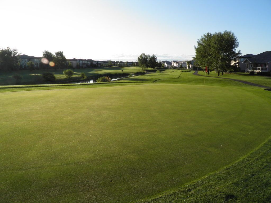 Green golf course with manicured grass, pond, and houses in the background, under a bright sky.