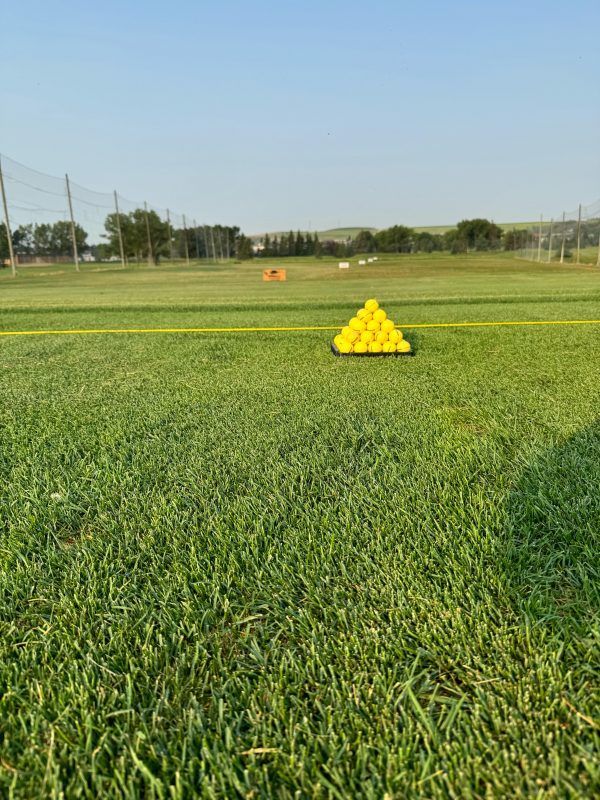 A pyramid of yellow golf balls on a grassy driving range, sunny day.