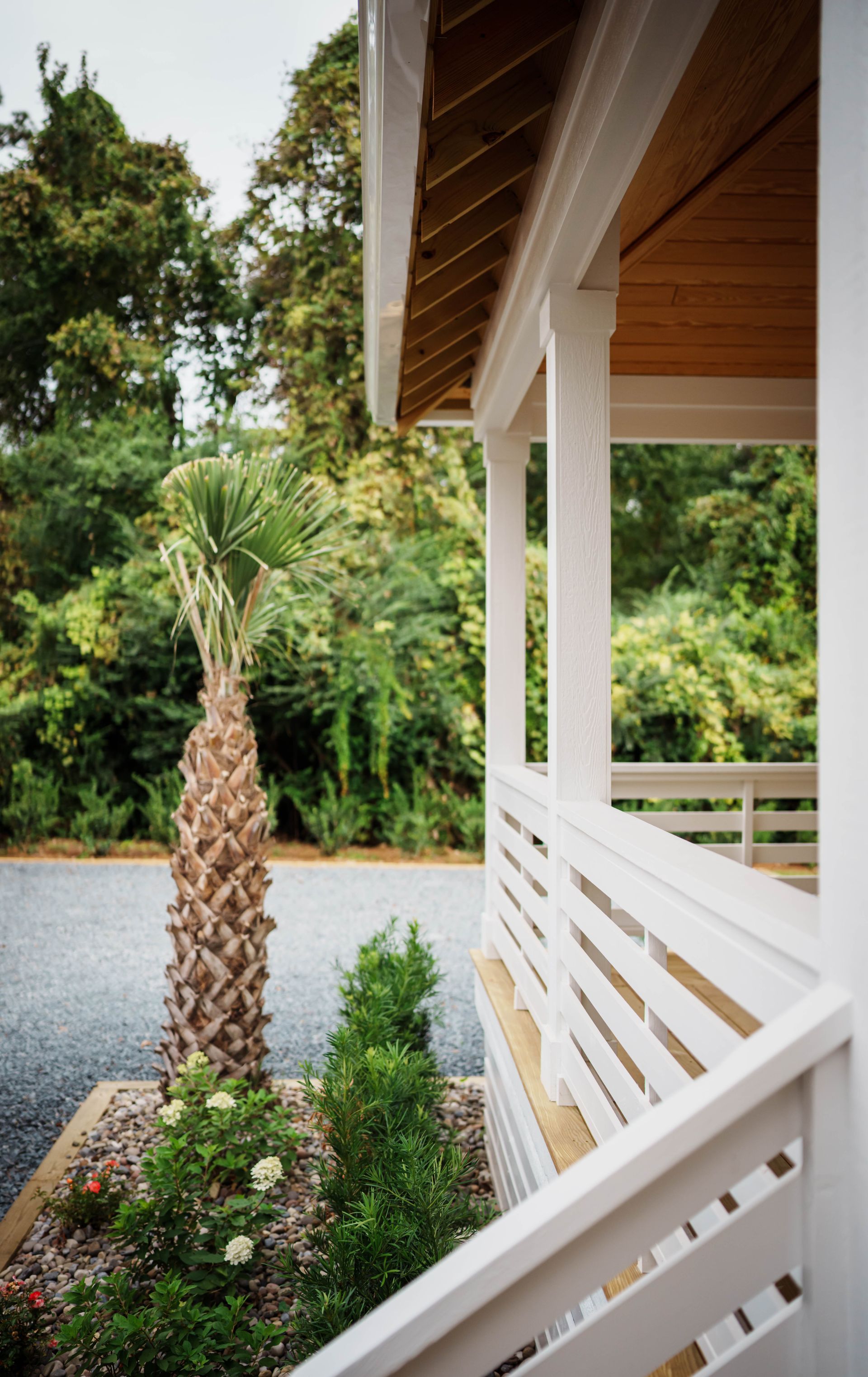 A white porch with a palm tree in the background