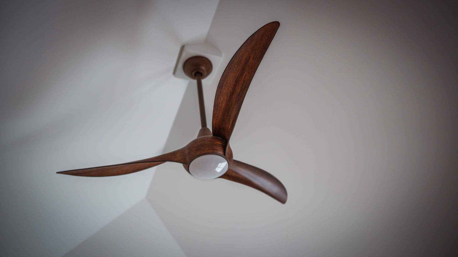 A ceiling fan that looks like a bird is hanging from the ceiling