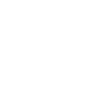 Liberty Tax Blocks