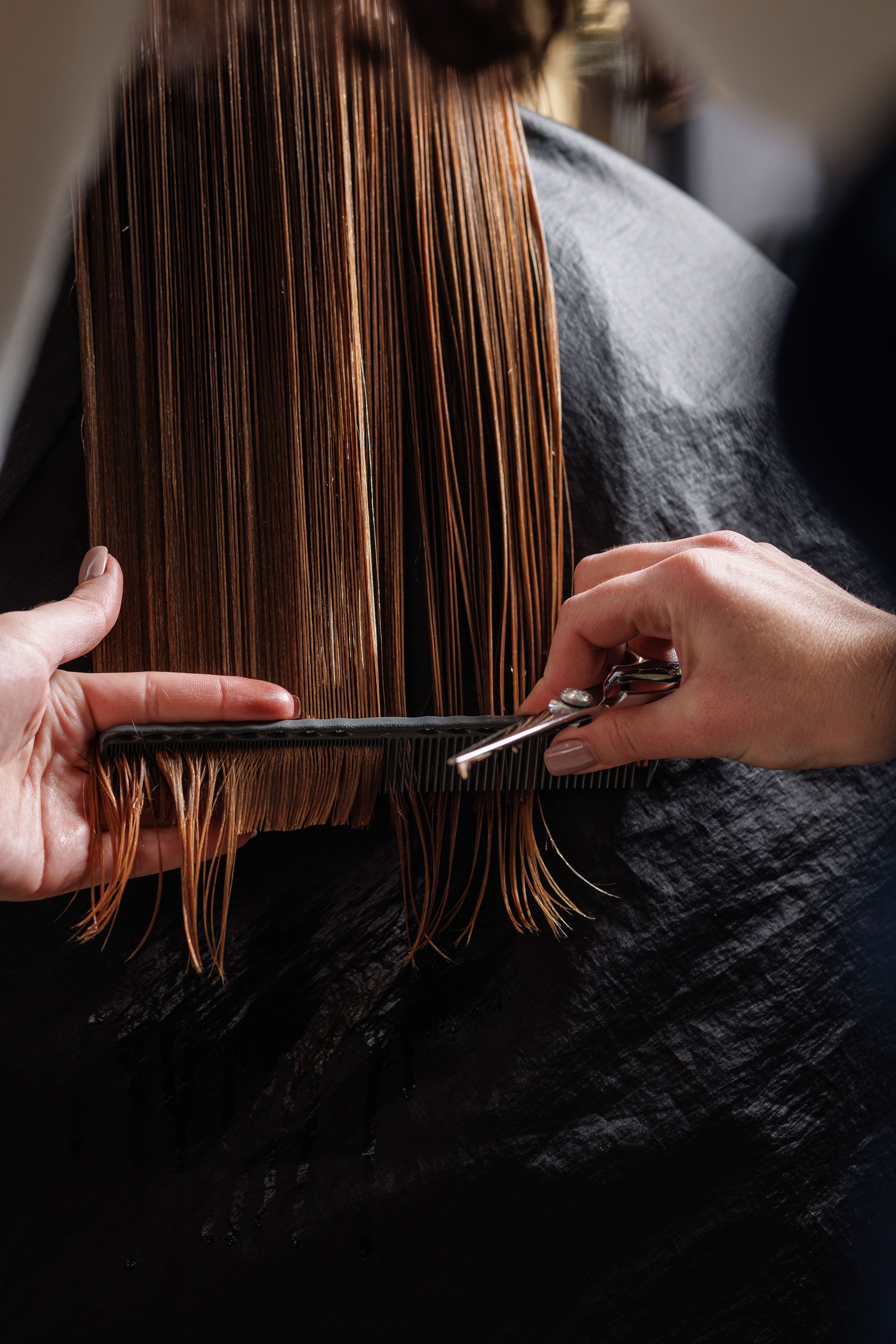 Hairdresser cutting wet brown hair with scissors and comb.