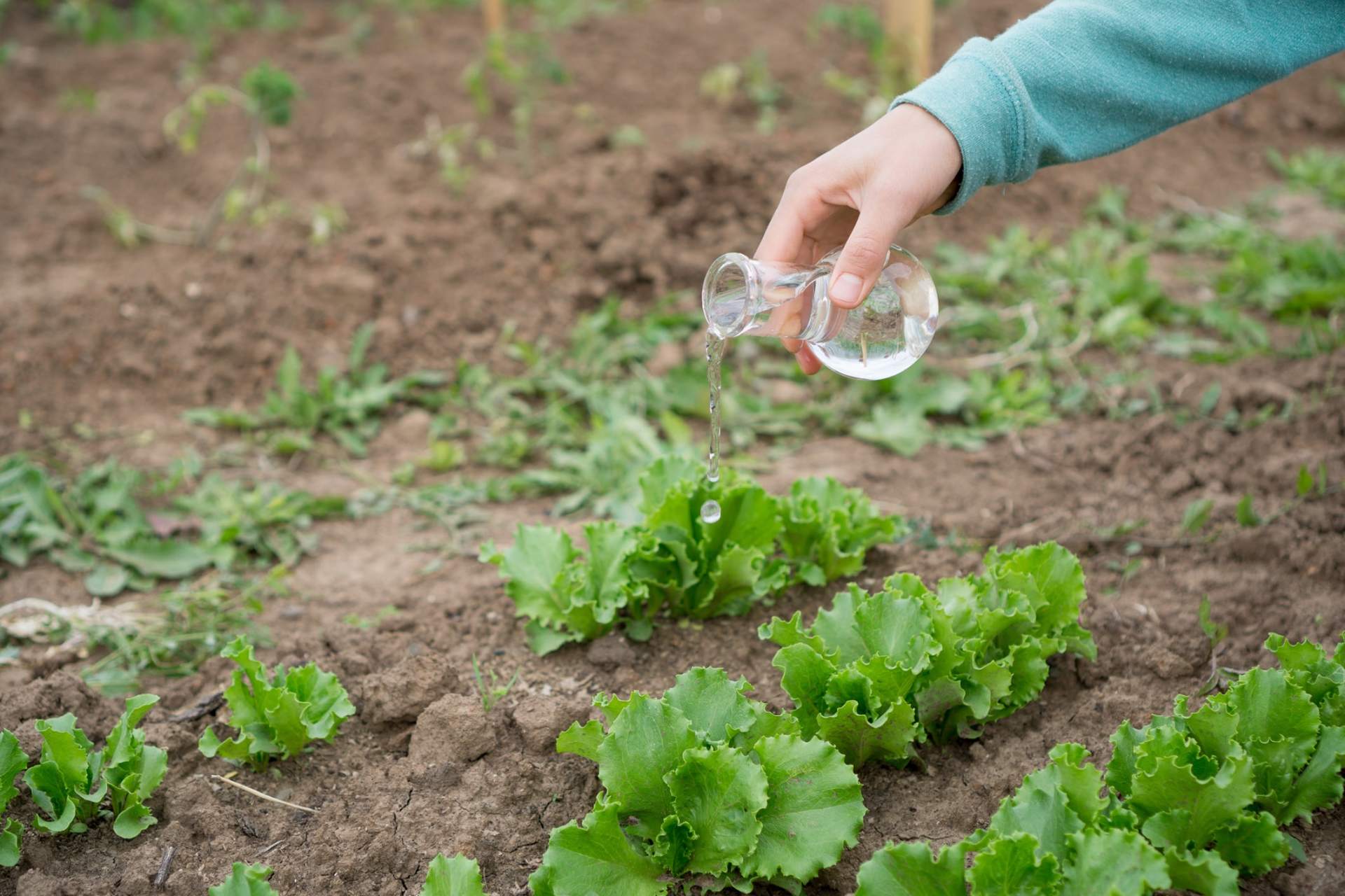 Agriculture — soil testing in Chambersburg, PA