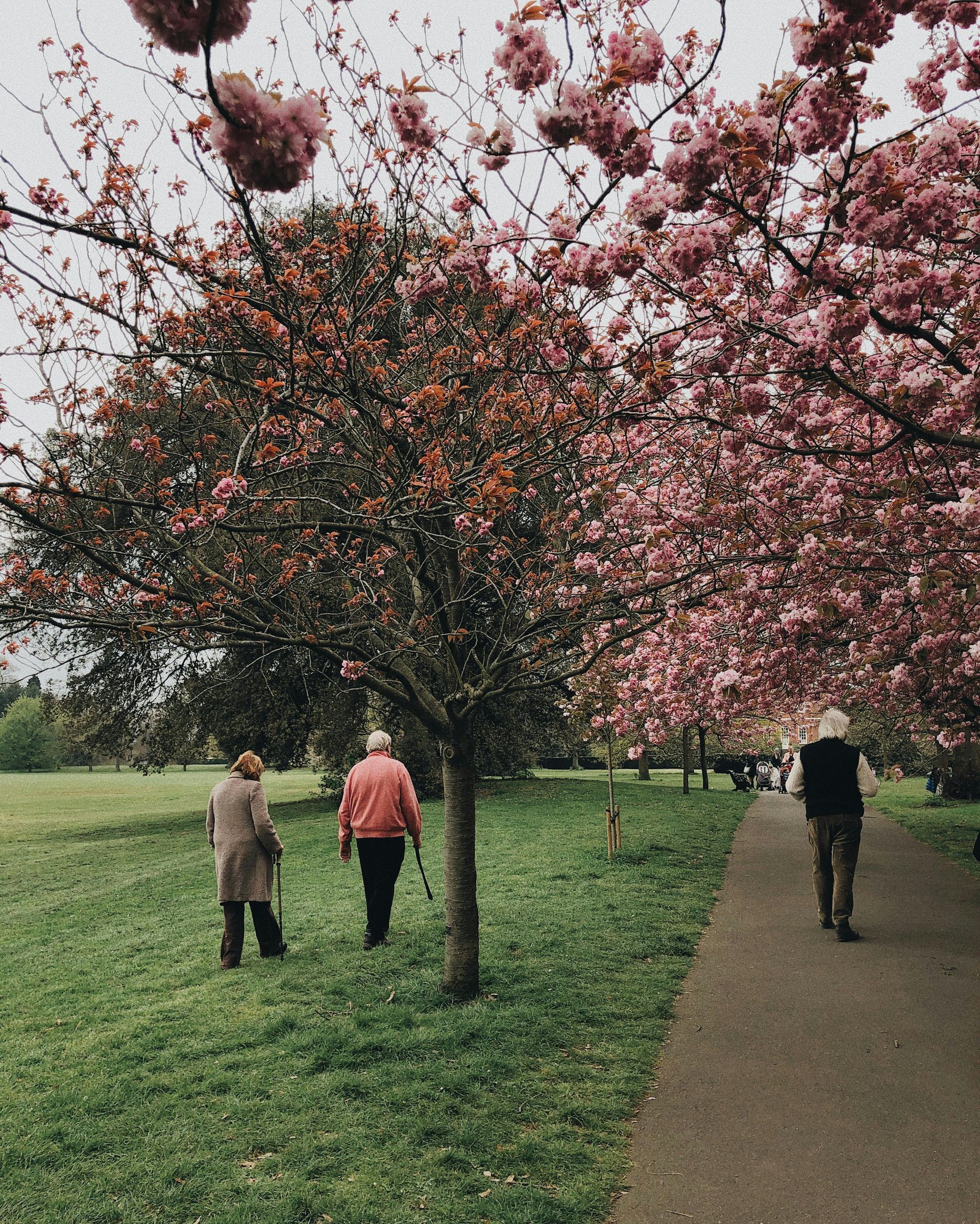 A couple of people are walking down a path in a park.