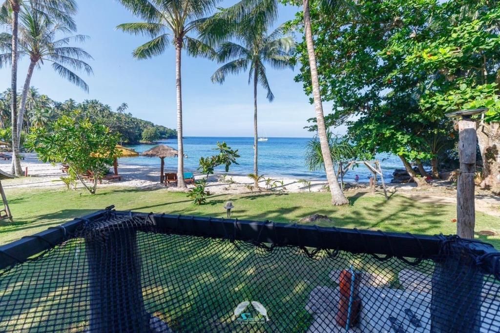 Beach scene: palm trees, ocean view, green grass, black netting in foreground.