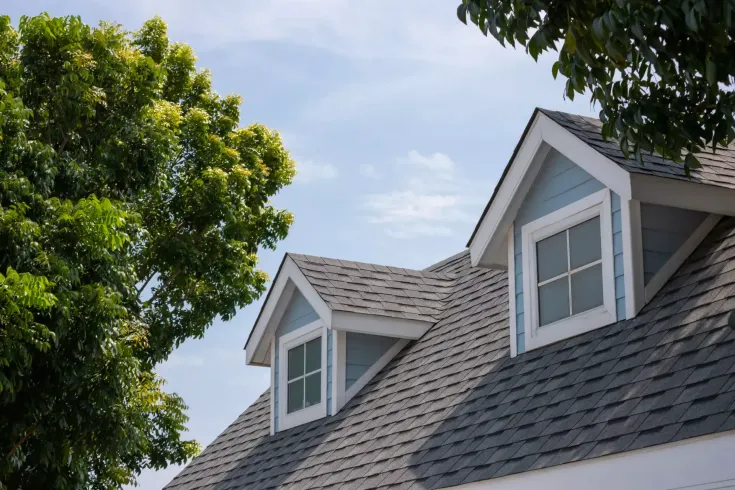 The roof of a house with two windows and a tree in the background.