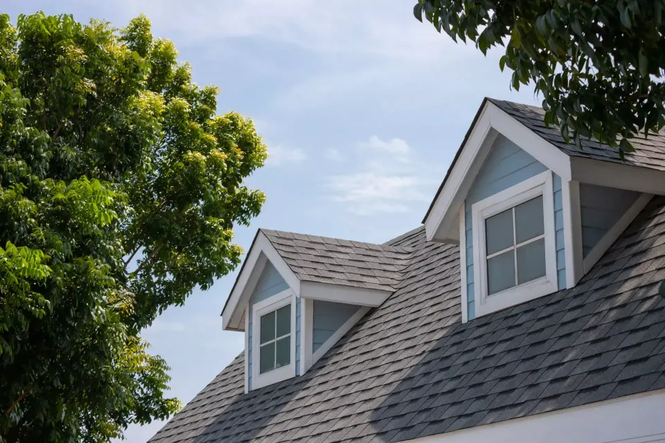 The roof of a house with two windows and a tree in the background.