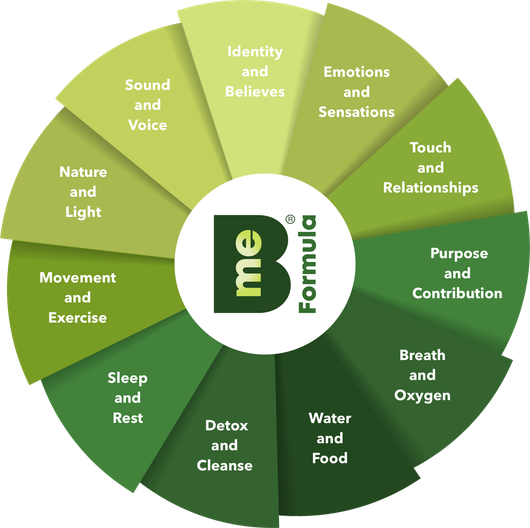 somatic therapy Melbourne with Anca Vereen