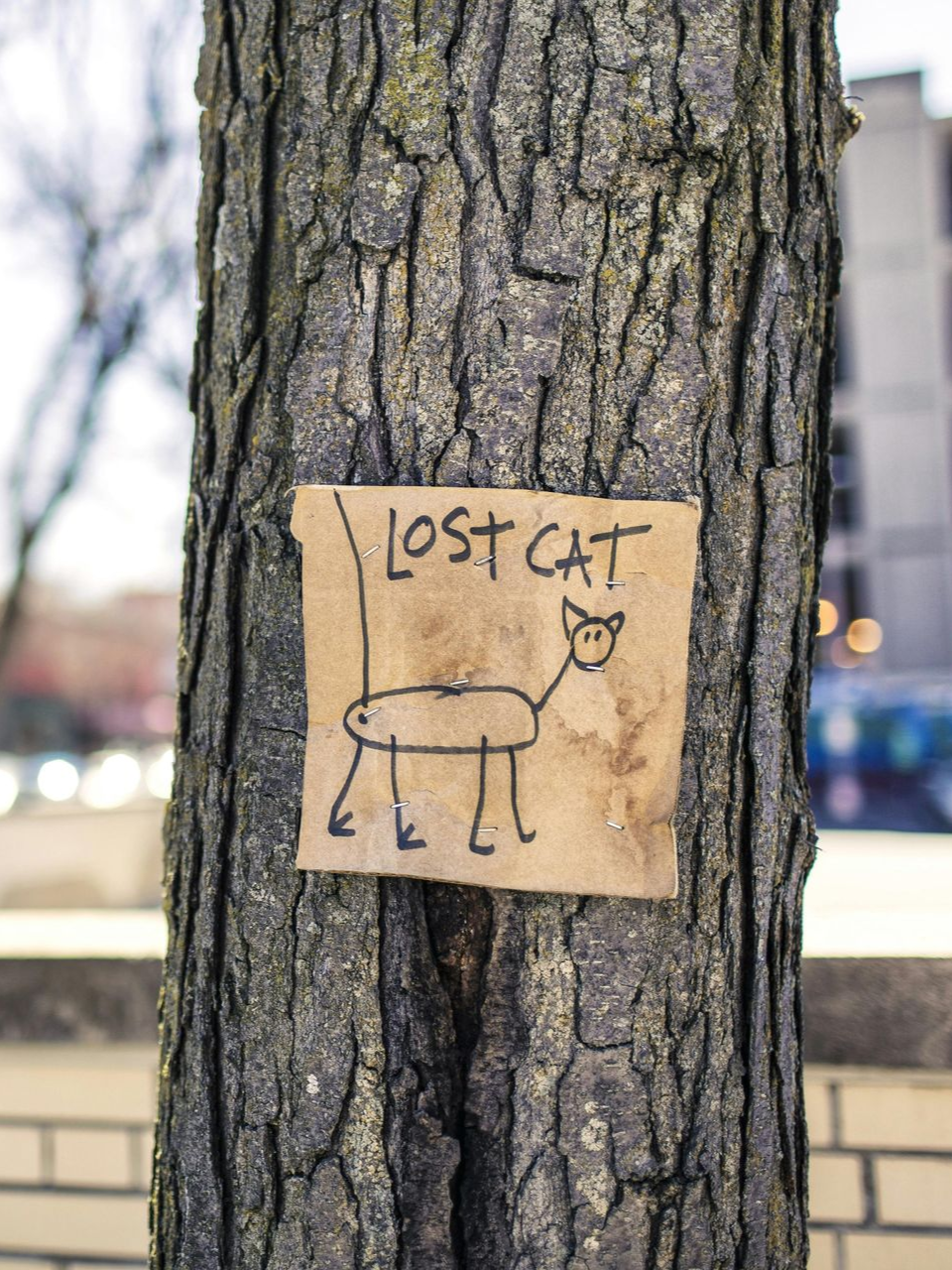 Somatic therapy help melbourne 