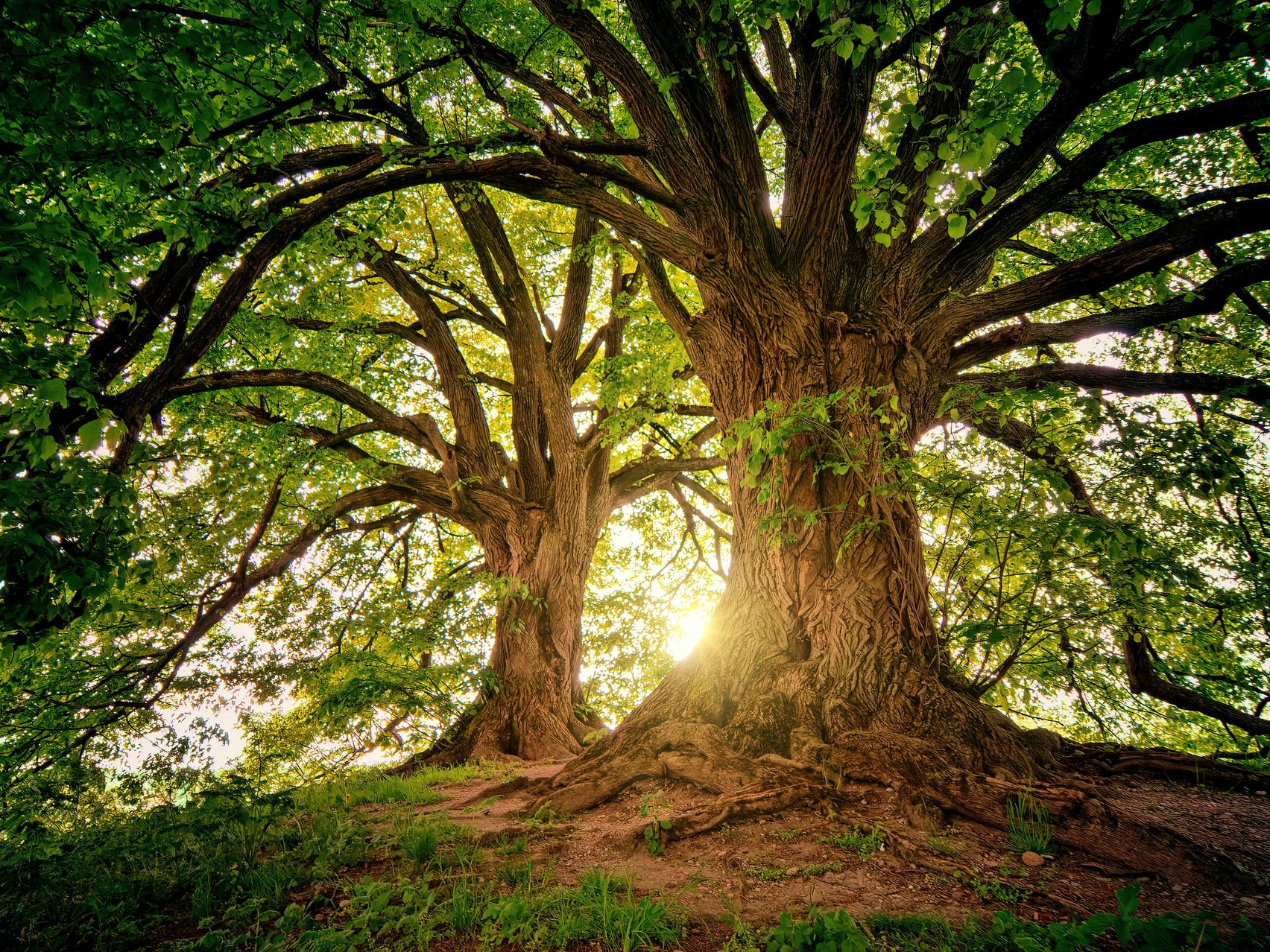 health retreats Melbourne 