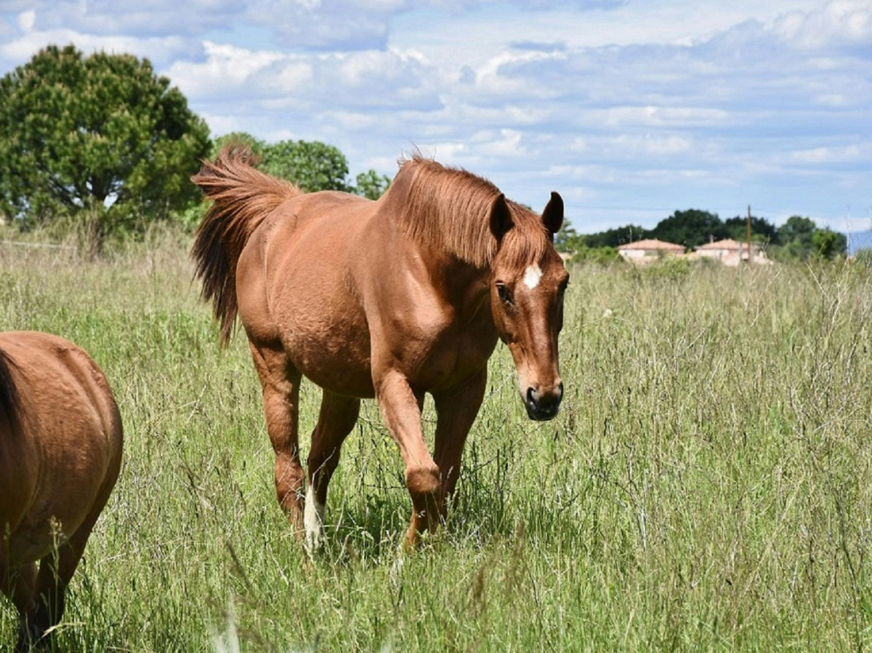 health retreats Melbourne