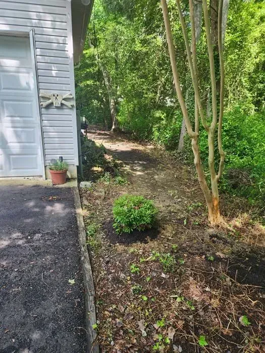 A driveway leading to a house surrounded by trees and bushes.