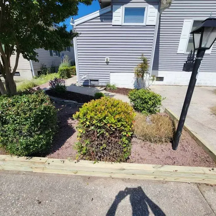 A house with a lot of bushes in front of it