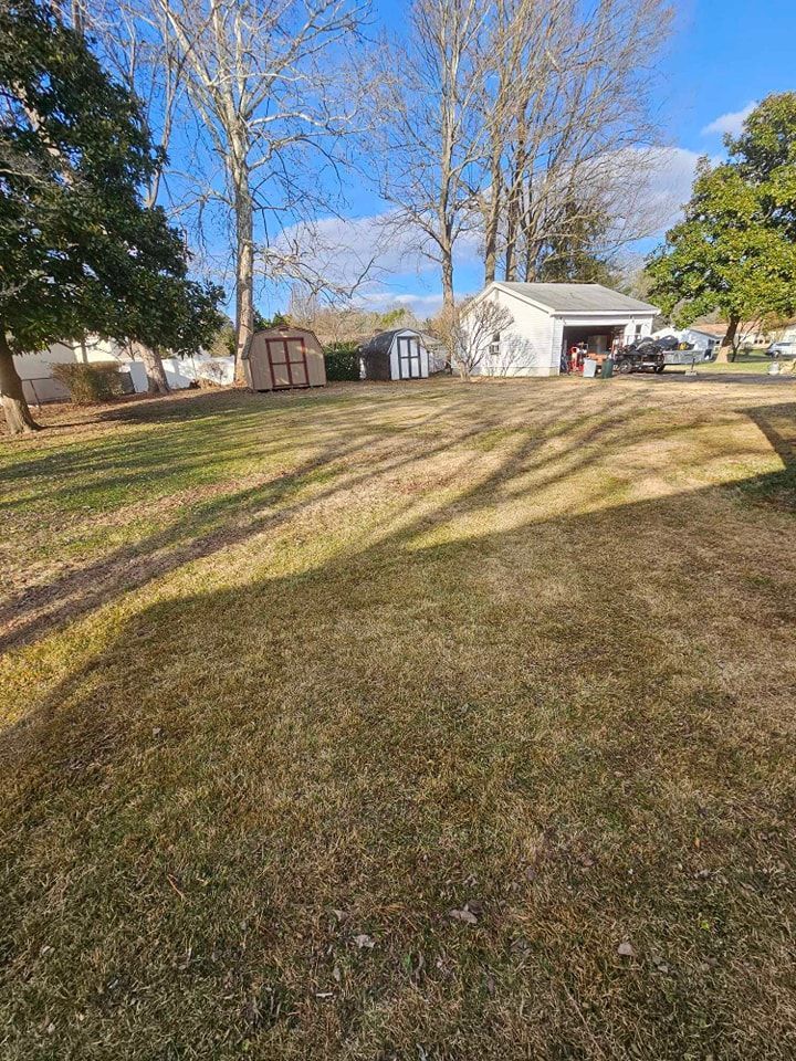 A large lawn with a garage and a shed in the background.