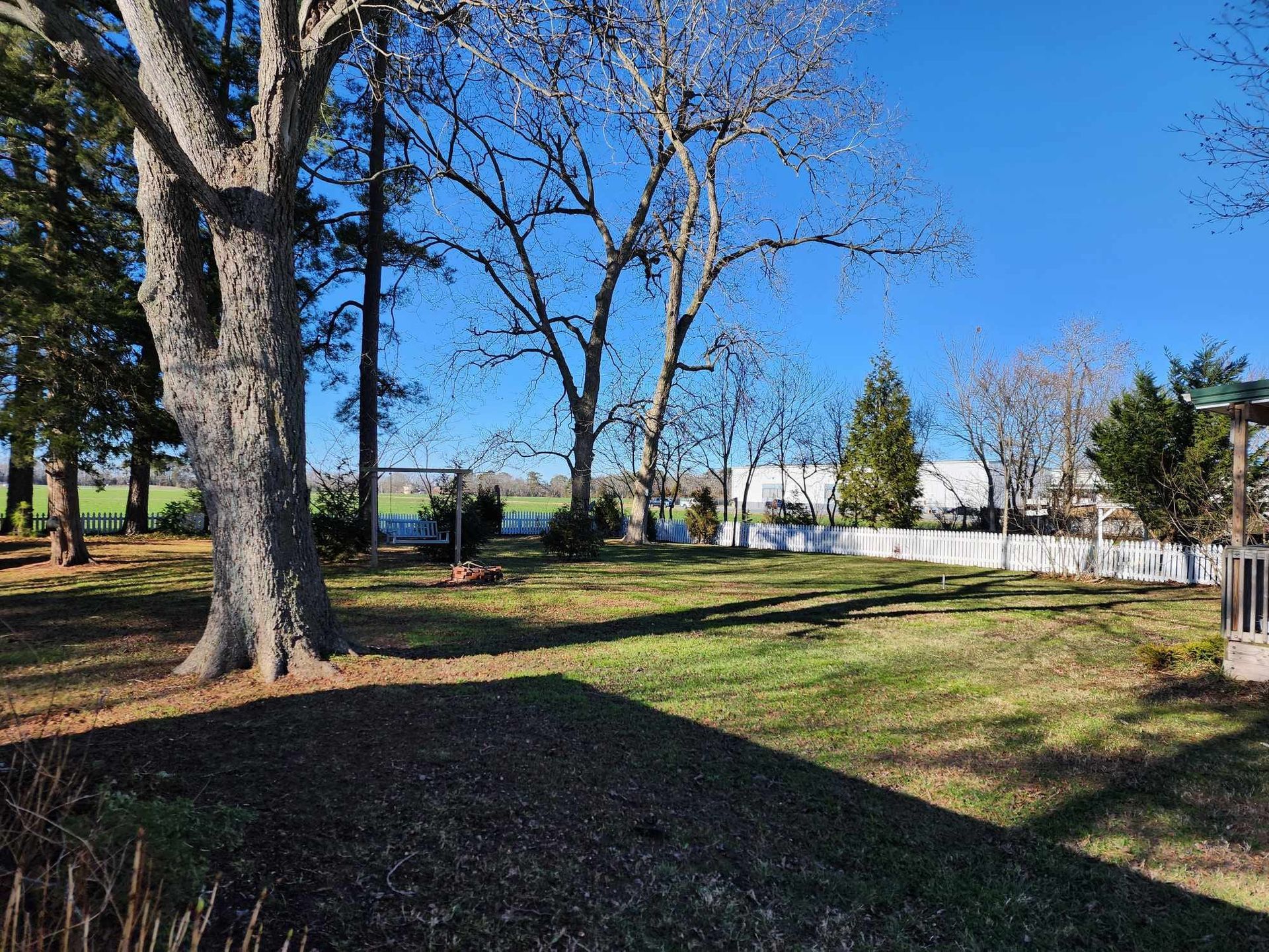 A large grassy field with trees and a white fence in the background.