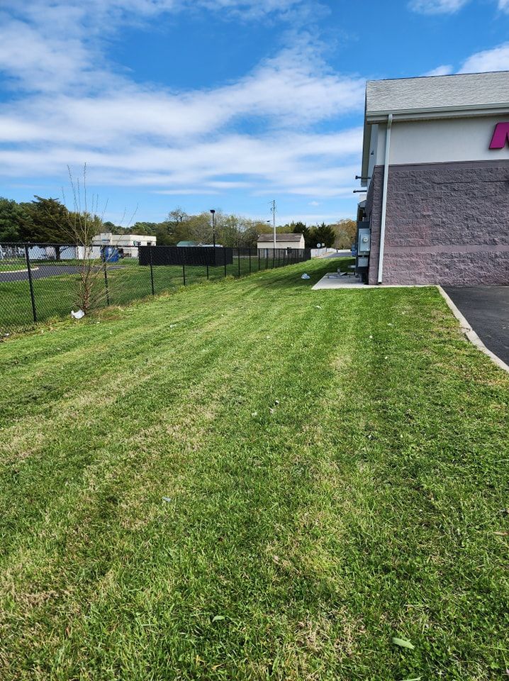 A lush green lawn in front of a building on a sunny day.