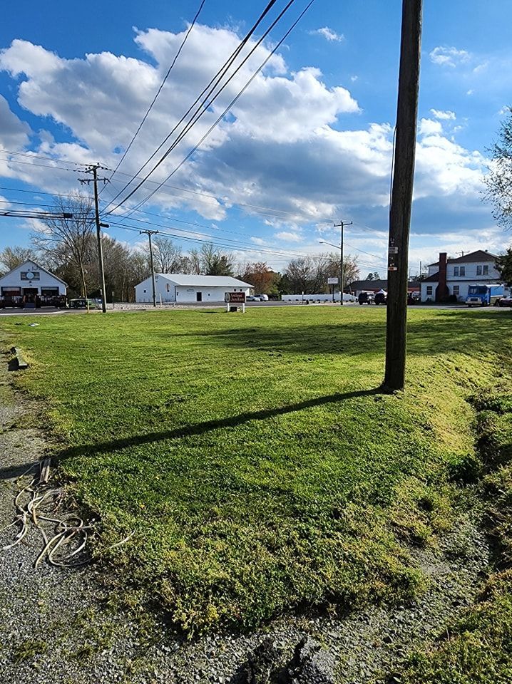A grassy field with a telephone pole in the middle of it.