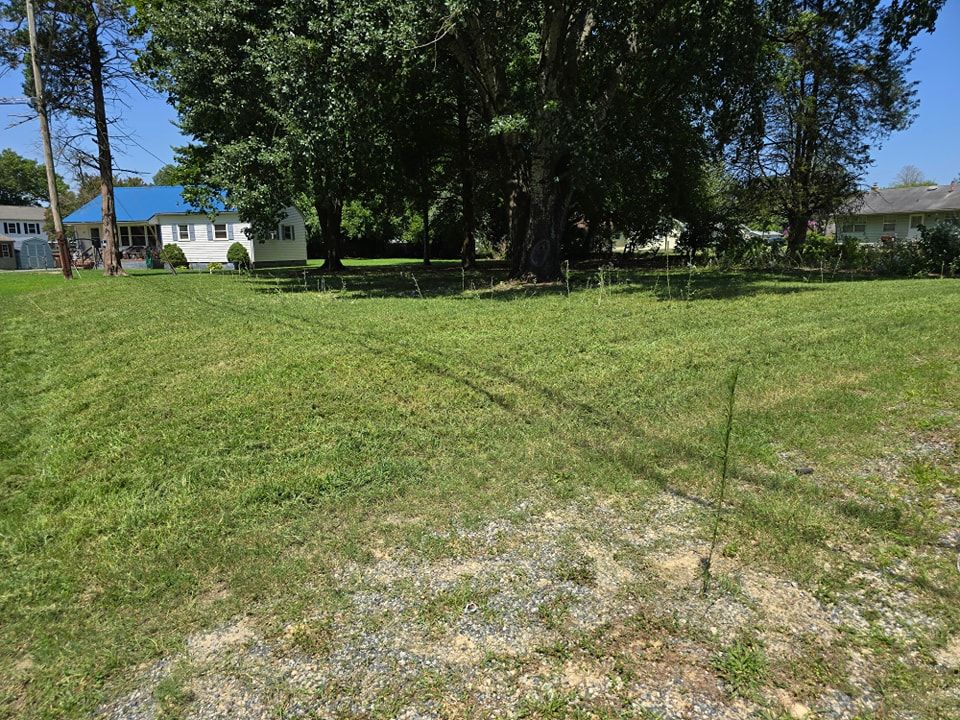 A large grassy field with a house in the background.