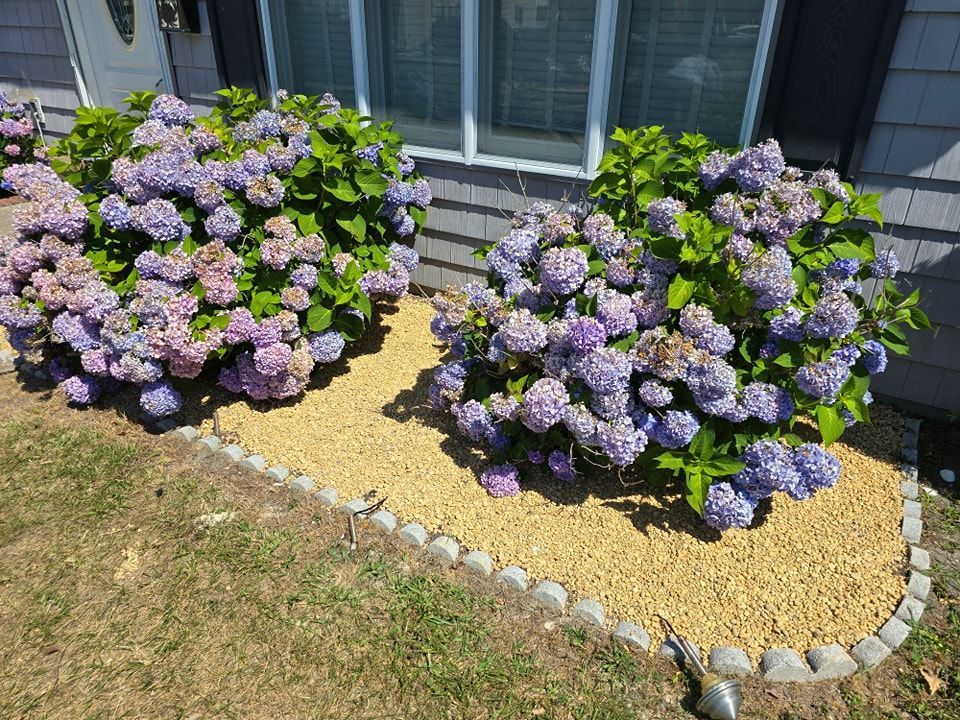 A house with a window well and flowers in front of it.