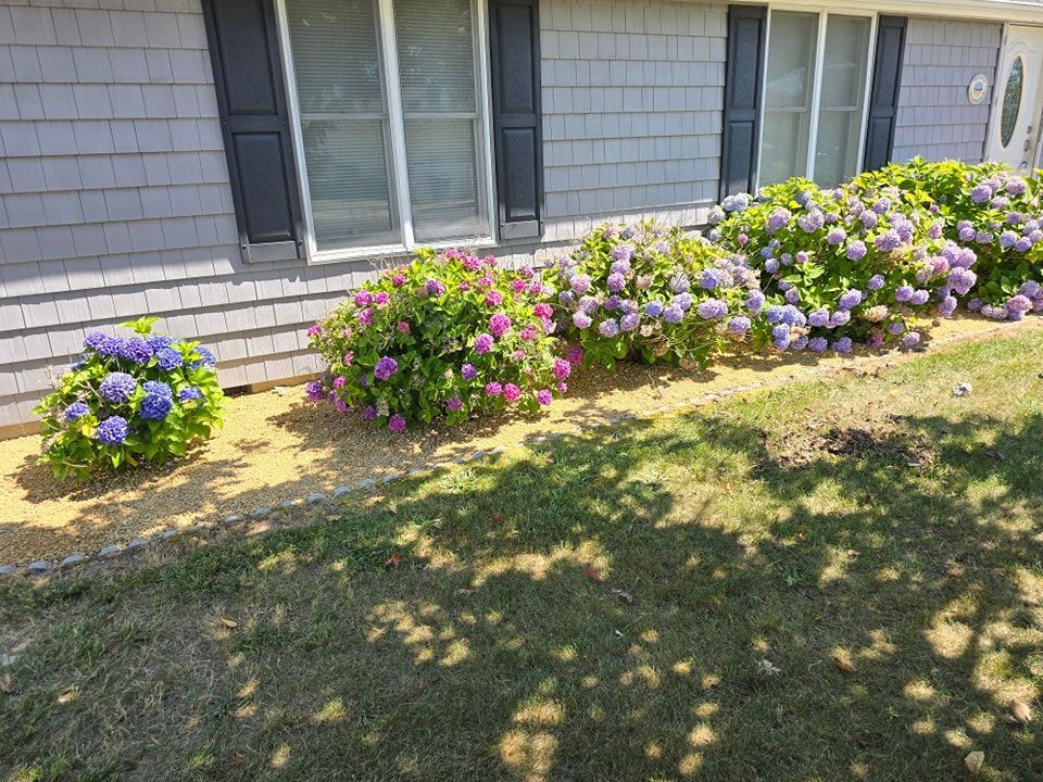 A house with purple and pink flowers in front of it
