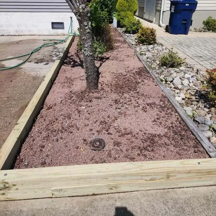 A tree is in the middle of a garden with a wooden border.