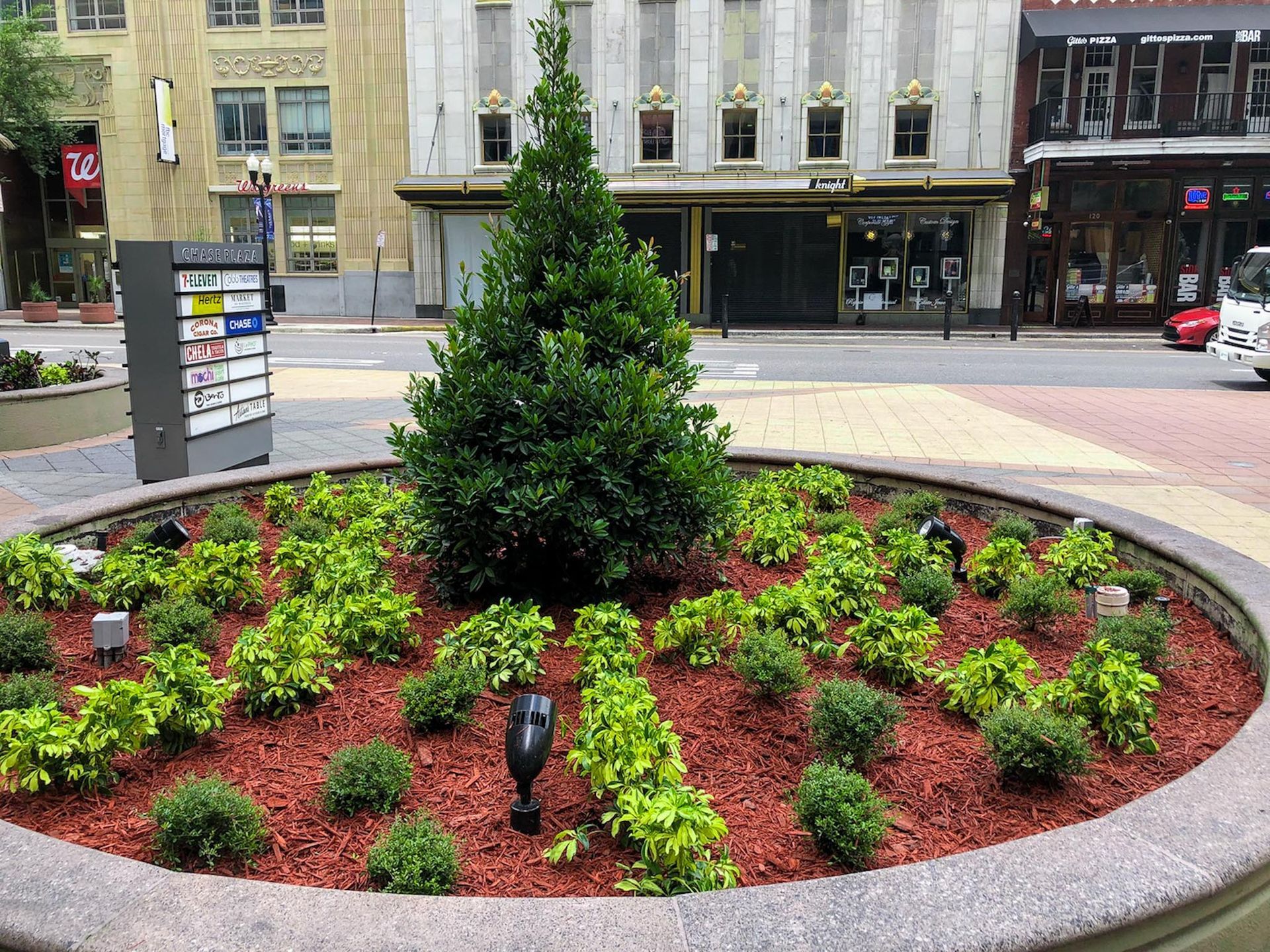 A circular garden with a tree in the middle of it