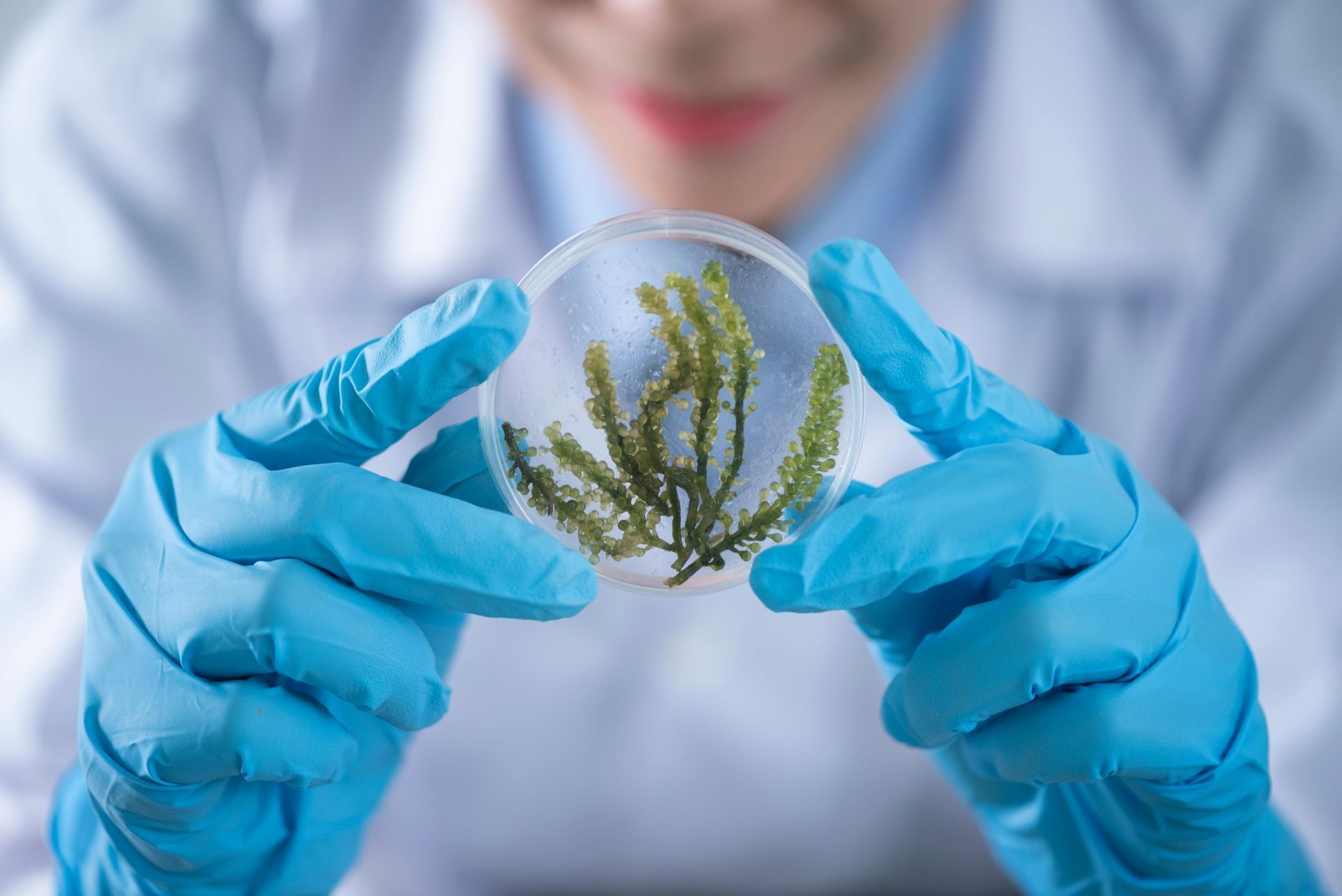 A scientist is holding a petri dish with a plant in it.