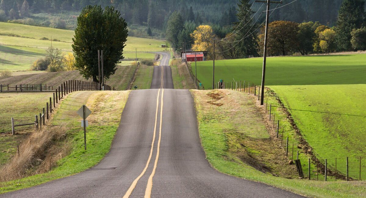 A road that is going through a lush green field.