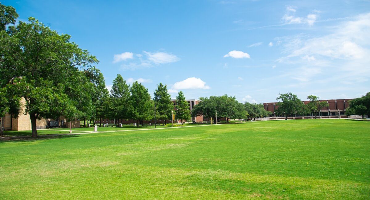 A large lush green field with trees in the background and a building in the background.