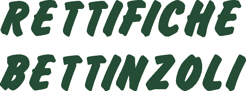 Bettinzoli Fabio logo