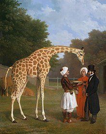 George IV's camel