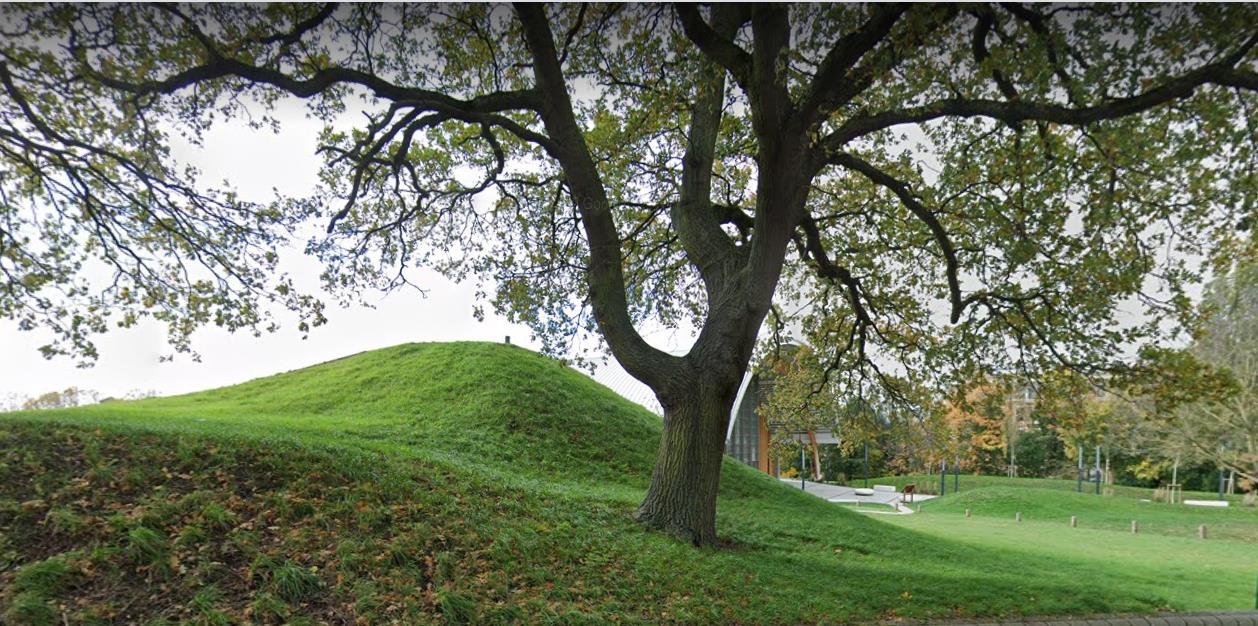 Montem Mound 2020 - from Google Streetview