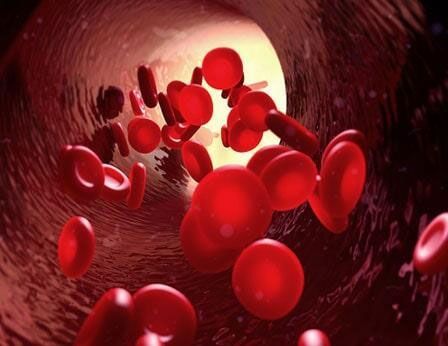 DR. JOSÉ HUMBERTO SALGADO VALENZUELA