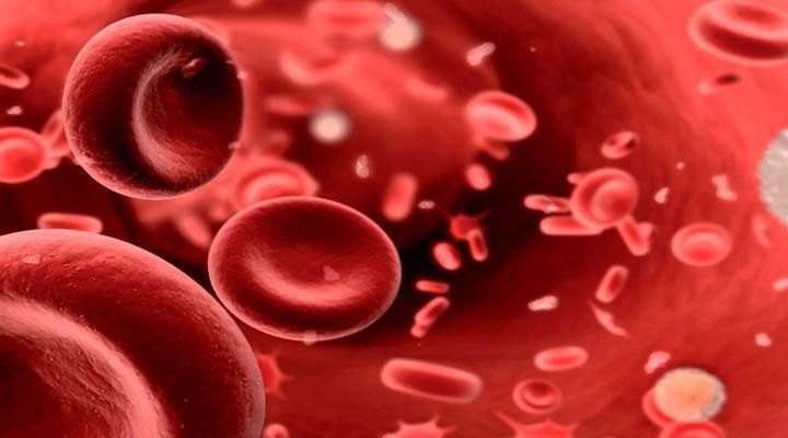 DR. JOSÉ HUMBERTO SALGADO VALENZUELA