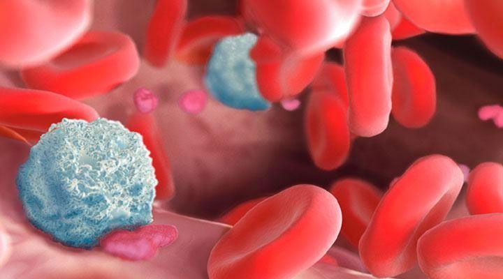 DR. JOSÉ HUMBERTO SALGADO VALENZUELA